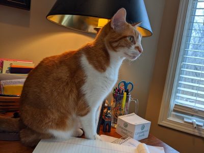 My one intern is overly concerned because the other intern is sitting on my desk.  My one intern is overly concerned because the other intern is sitting on my desk.