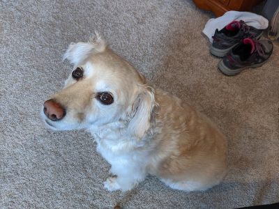 My one intern is overly concerned because the other intern is sitting on my desk.